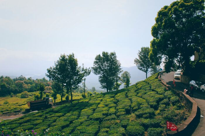 CAPTIVATING KERELA 5 DAYS TOUR
