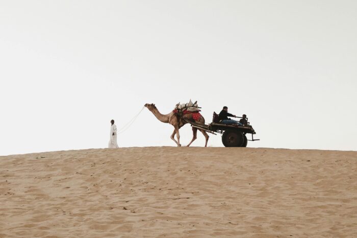 7 DAYS RAJASTHAN WITH DESERT CAMPING TOUR PACKAGE
